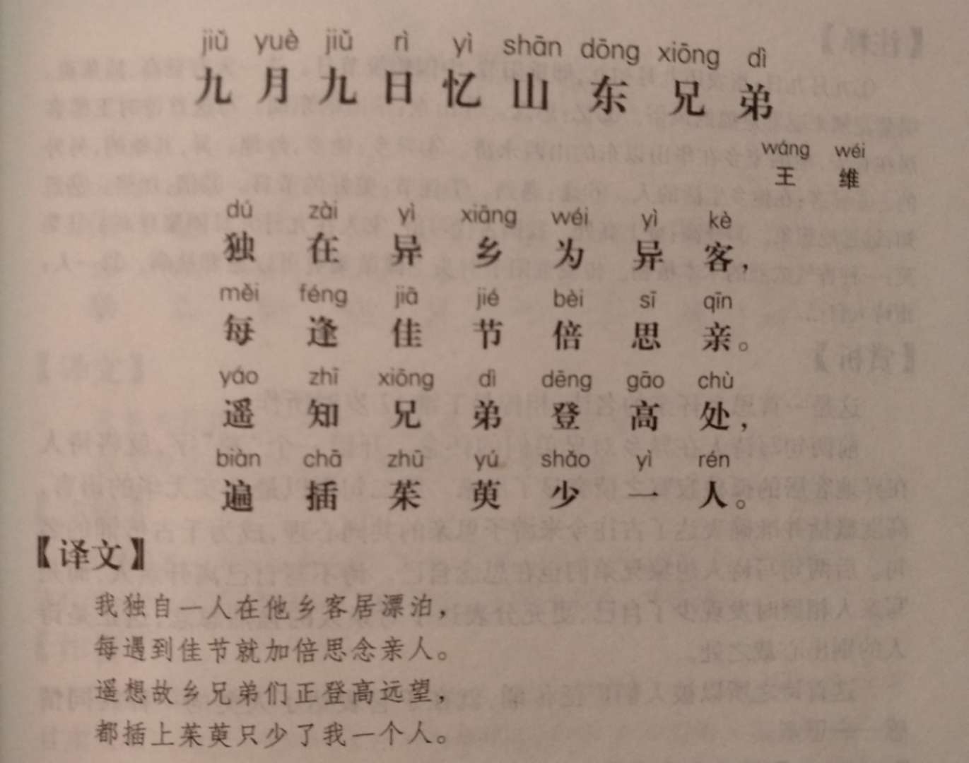 九月九日忆山东兄弟，解读王维的诗，王维的诗九月九日忆山东兄弟深度解读