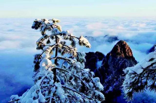 黄山出现震撼金色雪景，冬日的魔法与自然的馈赠，黄山金色雪景惊艳冬日，魔法自然馈赠的独特魅力