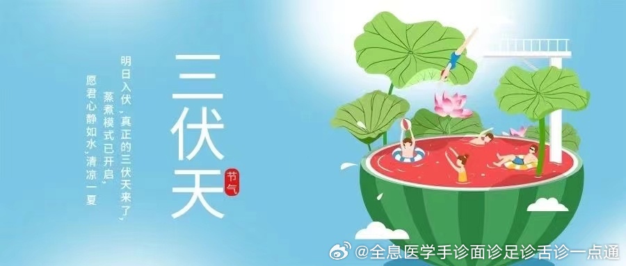 夏天三伏天的开始，探寻炎热的源头与时间的脚步，夏天三伏天的开始，探寻炎热之源与时间流逝的脚步