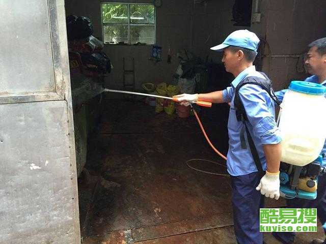 番禺上门杀虫，守护家园，远离害虫侵扰，番禺上门杀虫，守护家园，无忧害虫侵扰