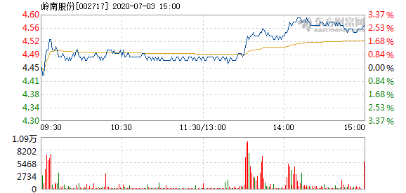 岭南股份股票，投资前景深度解析，岭南股份股票投资前景深度解析与展望