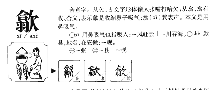 探寻歙字的读音与含义，探寻歙字的读音与含义解析