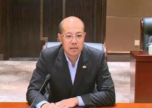 关于绿地集团董事长不雅照传出及公司回应的探讨，绿地集团董事长不雅照风波揭秘，公司回应与事件深度探讨