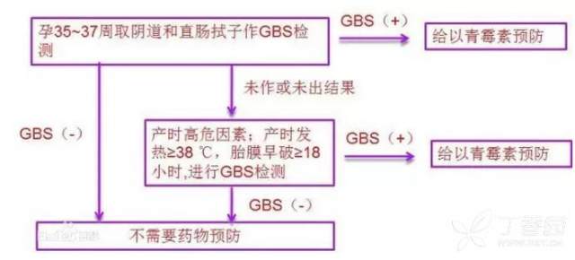 关于GBS筛查结果出炉的时间解析，GBS筛查结果出炉时间解析