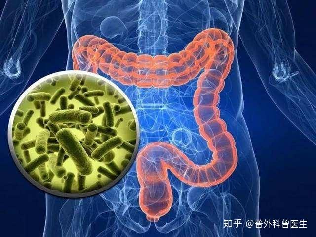 肠道病毒与食物成瘾有关的研究发现