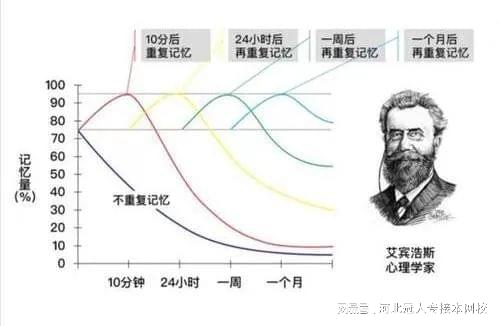 海马体最佳记忆时间，探寻记忆之巅的奥秘，海马体最佳记忆时间，探寻记忆巅峰的秘密