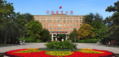 南京农业大学研究生院，探索学术之巅的摇篮，南京农业大学研究生院，学术之巅的摇篮探索之旅