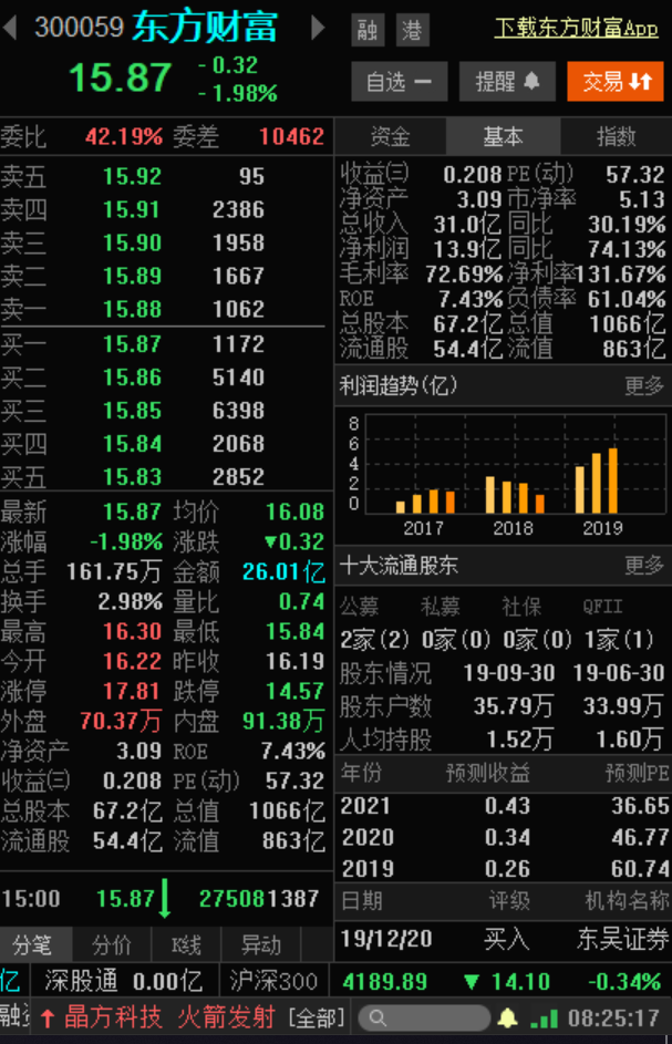 东方财富，金融领域的璀璨明珠，东方财富，金融领域的耀眼明珠