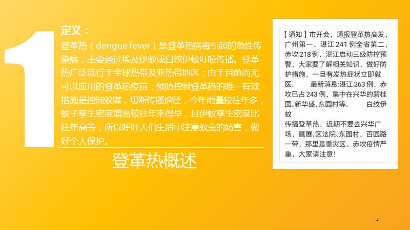 如何预防登革热PPT，策略与实践，PPT分享，登革热的预防策略与实践指南