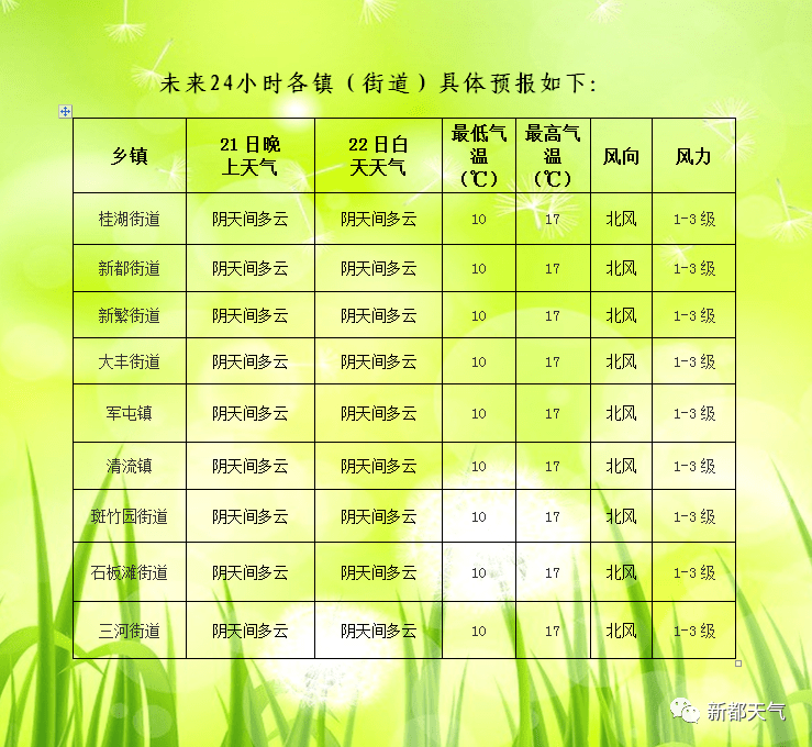 新庆社区天气预报更新