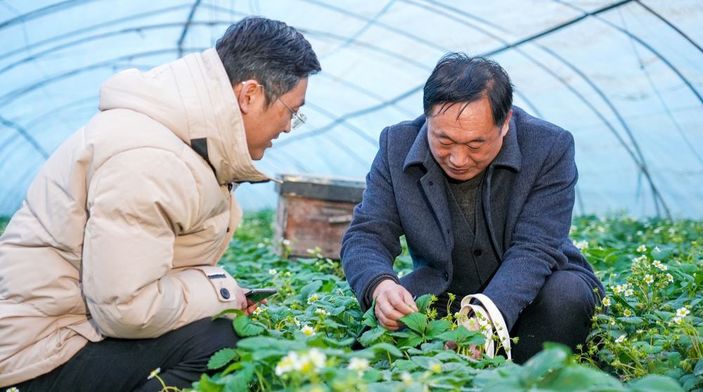 太山村委会最新招聘信息