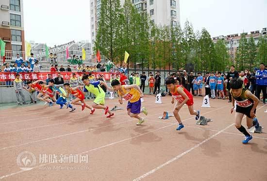 埇桥区初中最新发展规划