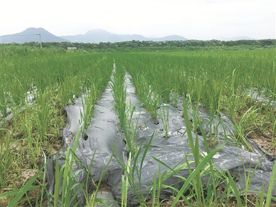 宁波市农业局最新领导，宁波市农业局新任领导，宁波市农业局最新任命，宁波市农业局最新领导名单，宁波市农业局最新领导介绍，宁波市农业局最新领导任职，宁波市农业局最新领导调整，宁波市农业局最新领导变动，宁波市农业局最新领导信息